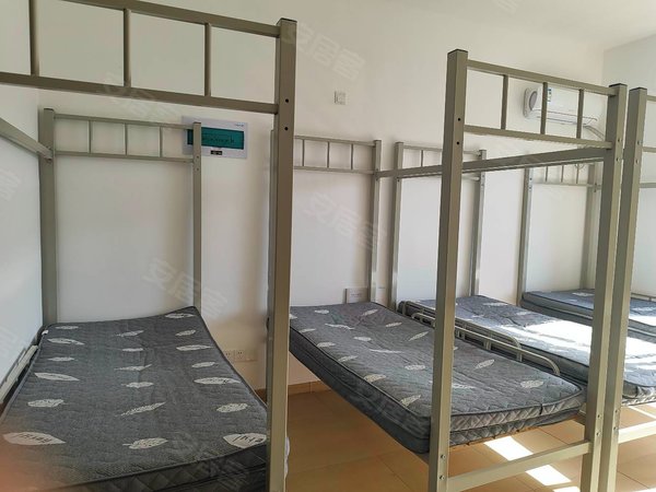 青岛黄岛香江路海尔信息谷(商住楼)黄岛开发区 职工公寓 学生宿舍员工