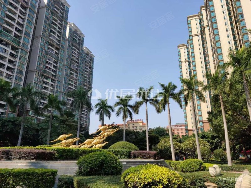 金碧新城精装望花园笋盘急售证满五年产权清晰采光好温馨