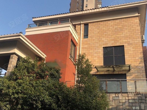 中兴和园独栋别墅出租,本人实拍图片,适合淘宝,摄影,办公