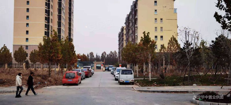 植物园北阳光盛景电梯花园洋房带露台精装四室可贷款