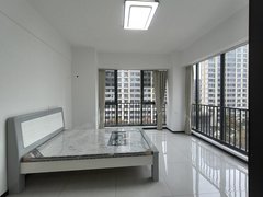 合肥包河骆岗包河汽车城招商东望府公寓 拎包入住 阳光充足 精装修 配套全出租房源真实图片