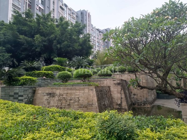 南宁青秀柳沙半岛东岸精装单间配套出租,家电家具配齐,拧包入住,租