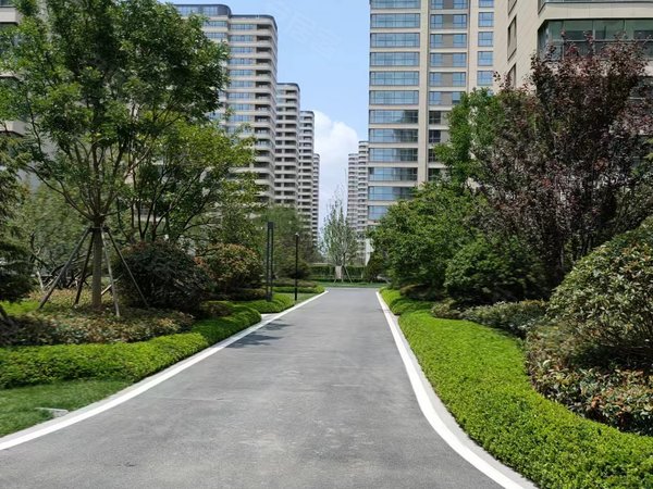 青岛城阳红岛融创红岛湾刚出,红岛湾大平层出租,精装三室两卫,拎包