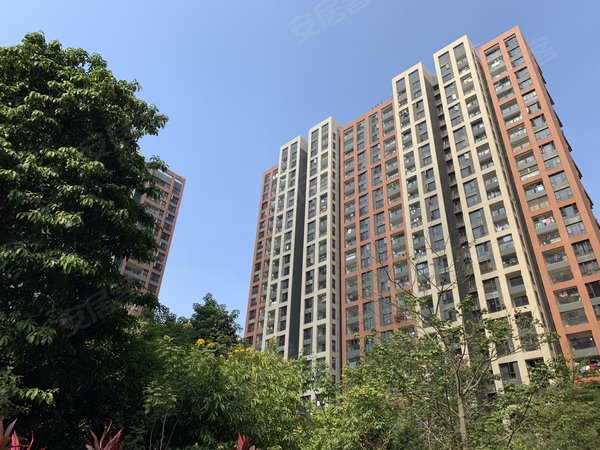 东莞南城石竹万科金域华府二期安静舒适漂亮的大3房!