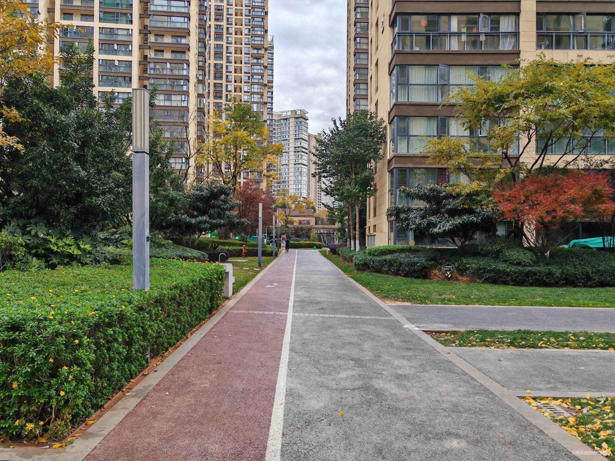 蓝光悦彩城悦林苑