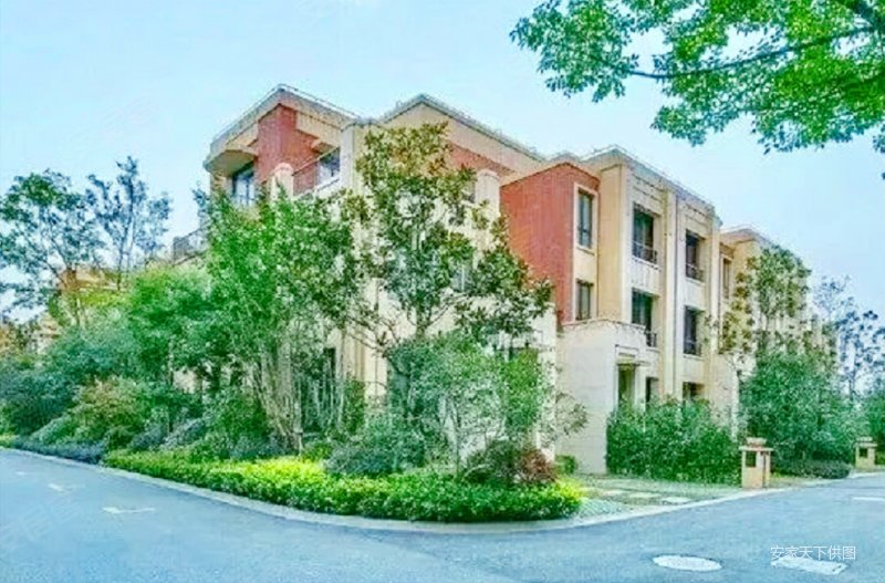 上海直线近距离|景观别墅沿湖而建|带大花园大露台|淀山湖壹号