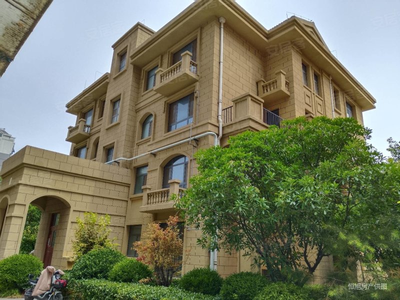 奎文市中心,叠拼别墅!送俩车位,带大阁楼!