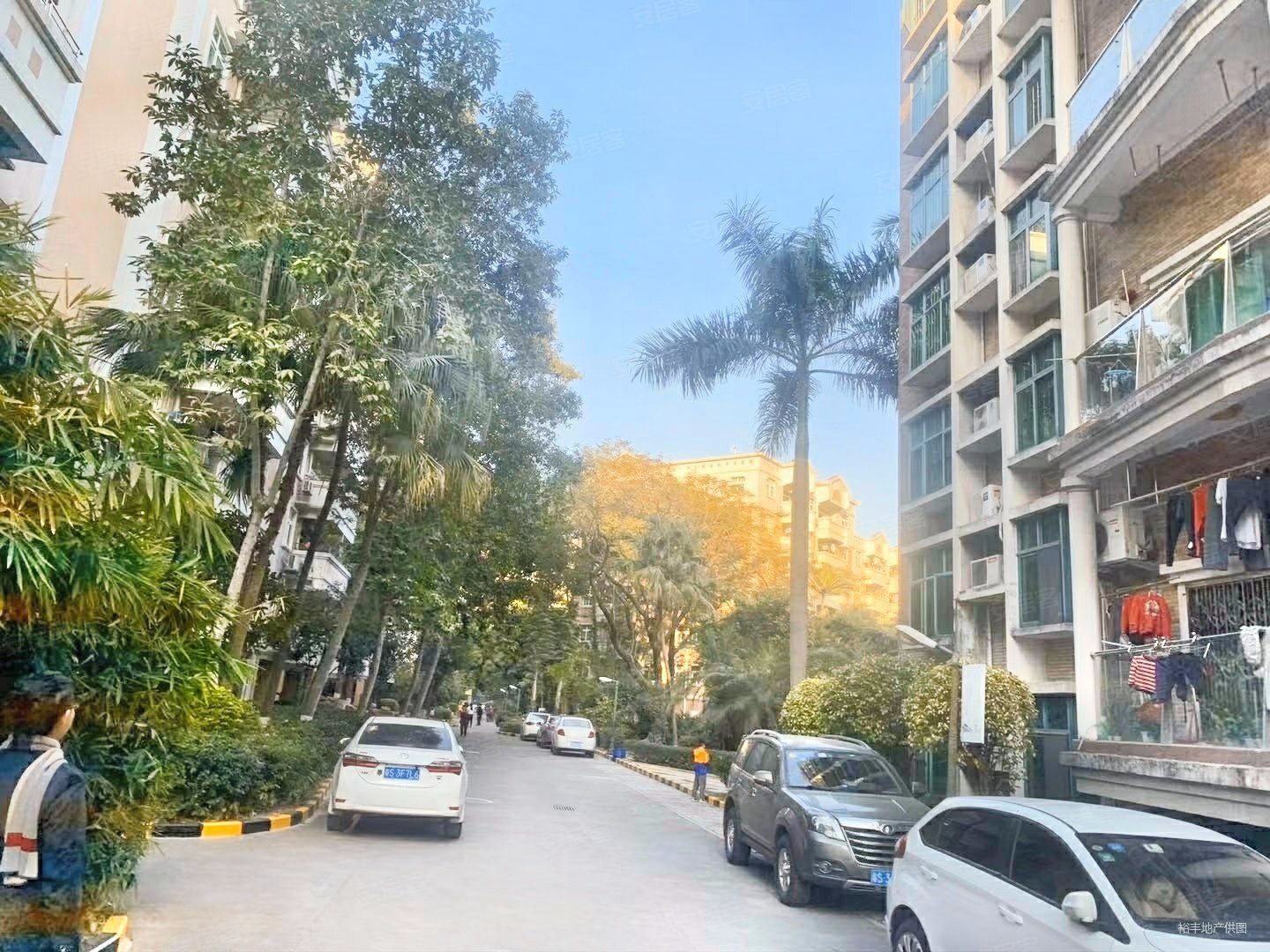 金丰花园2房出售南向看小区价格美丽