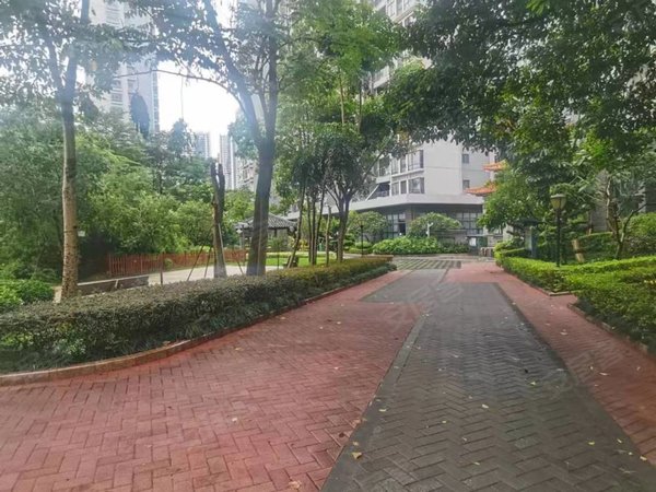 大学城租房,崇文花园两房带家私 随时看房入住,近深圳大学 南科大