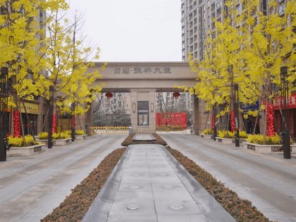 龙湖武林九里优点,不足,龙湖武林九里怎么样,龙湖武林九里周边房产