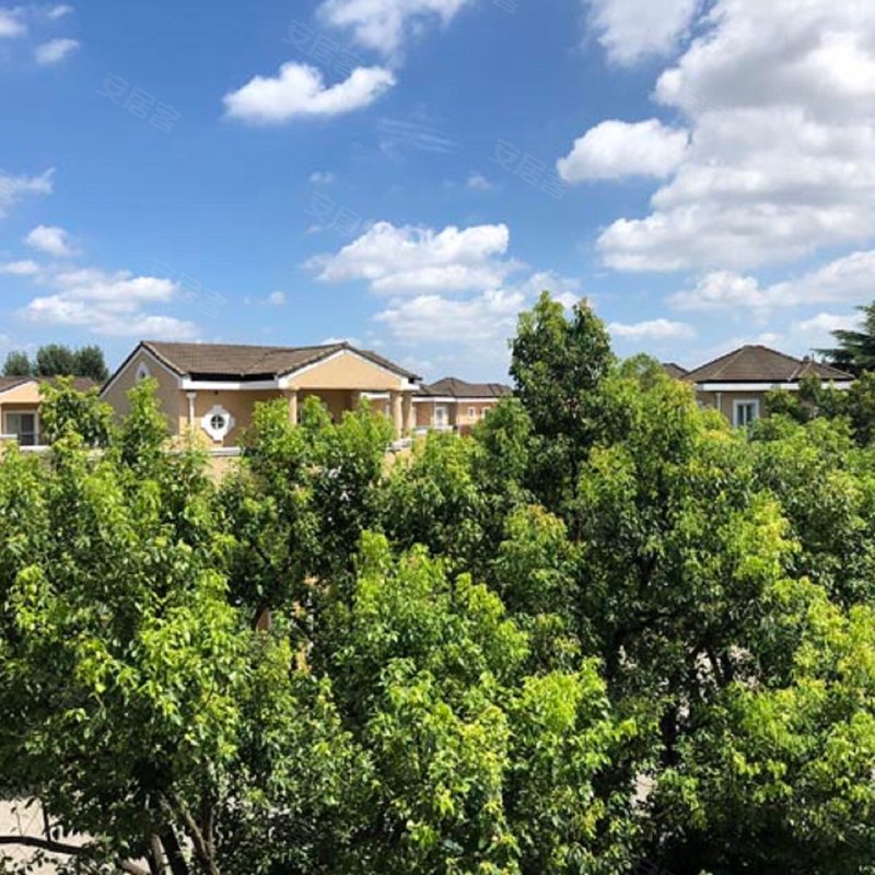 【温莎花园, 温莎花园小区详情,房价走势,房源,业主论坛】- 上海58