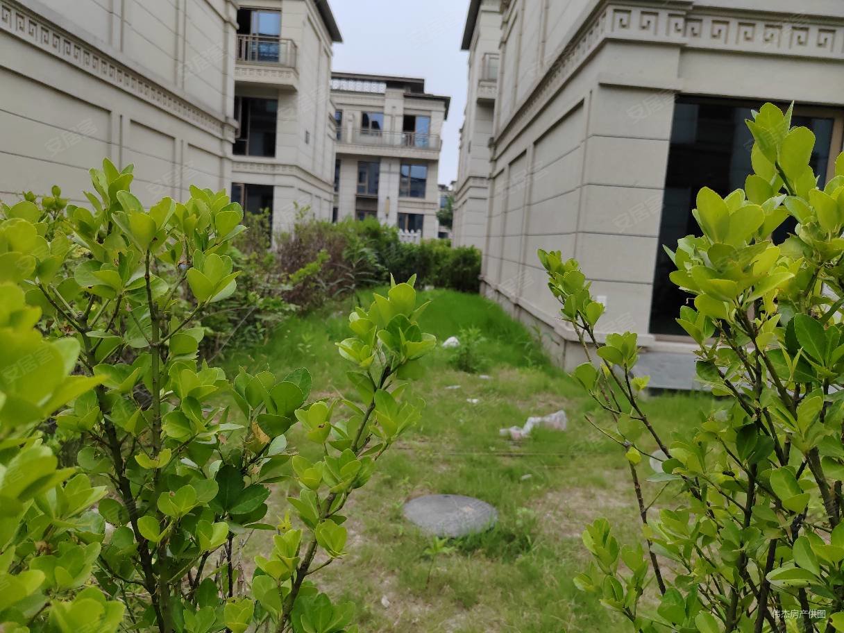 新城棠樾排屋上下六层实用面积大小区新价格便宜