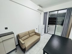 深圳龙岗平湖奢华一房急租 押一付一民水民电家私齐全拎包入住！出租房源真实图片