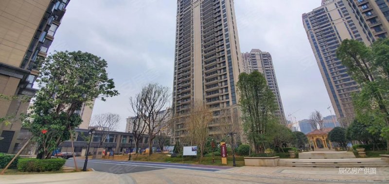 贱卖 万象商圈旁 恒大御府三期 全新精装两房 电梯中层