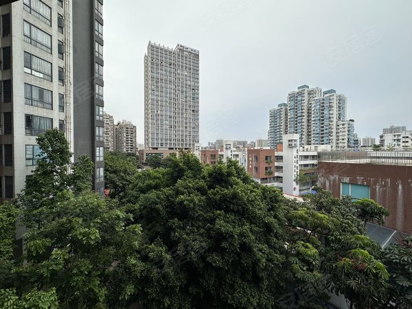 广州海珠沙园光大花园四期光大花园四期整洁1房 家私电器齐全 拎包