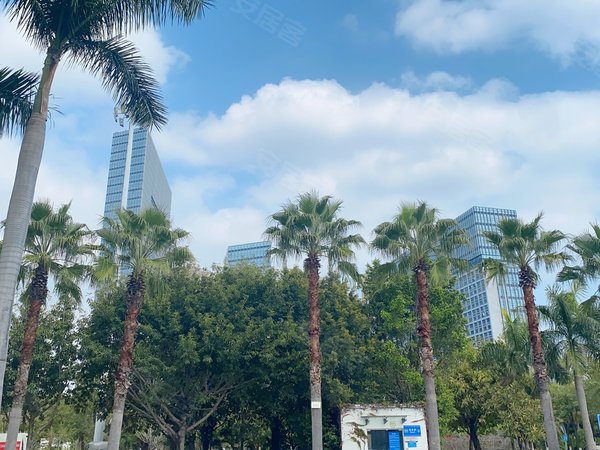 厦门集美厦门北站万科广场(商住楼)软三地铁口厦门北站万科小区朝南多