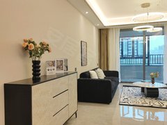 合肥新站火车站龙湖上城 豪华装修 电梯房 通风好 长租可减出租房源真实图片