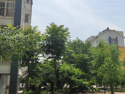 瑞都花园,南一路38号,近云门山路 - 东营瑞都花园二手房,租房,房价