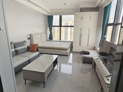 新千丽景公寓可押一付一 1室1厅1卫  南北通透 豪华装修