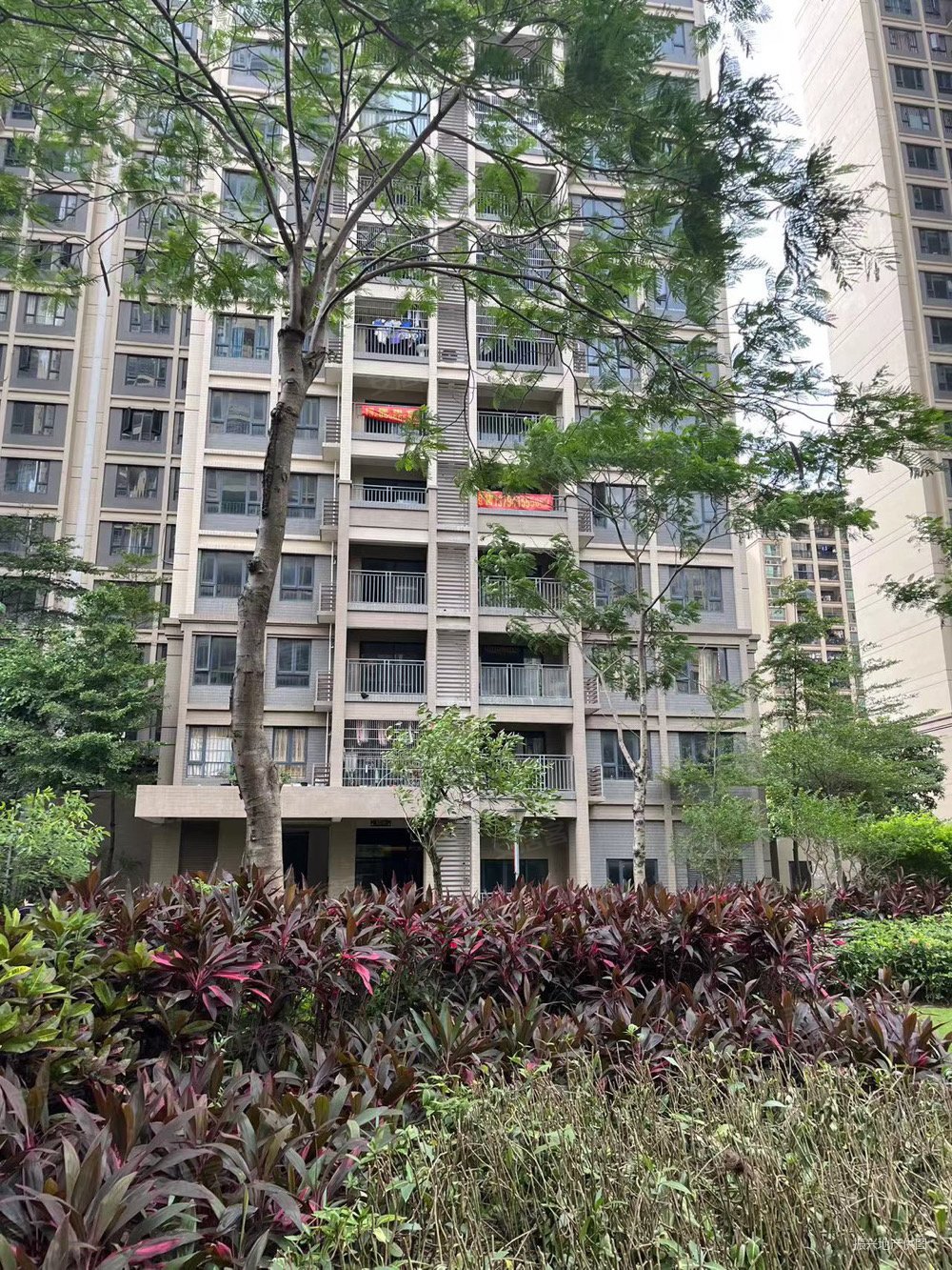 小榄逸丰华庭3房2厅毛坯房只需要82万,逸丰华庭