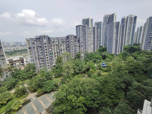 南宁青秀柳沙半岛东岸半岛东岸 江景两房巨大楼间距 看整个小区园林