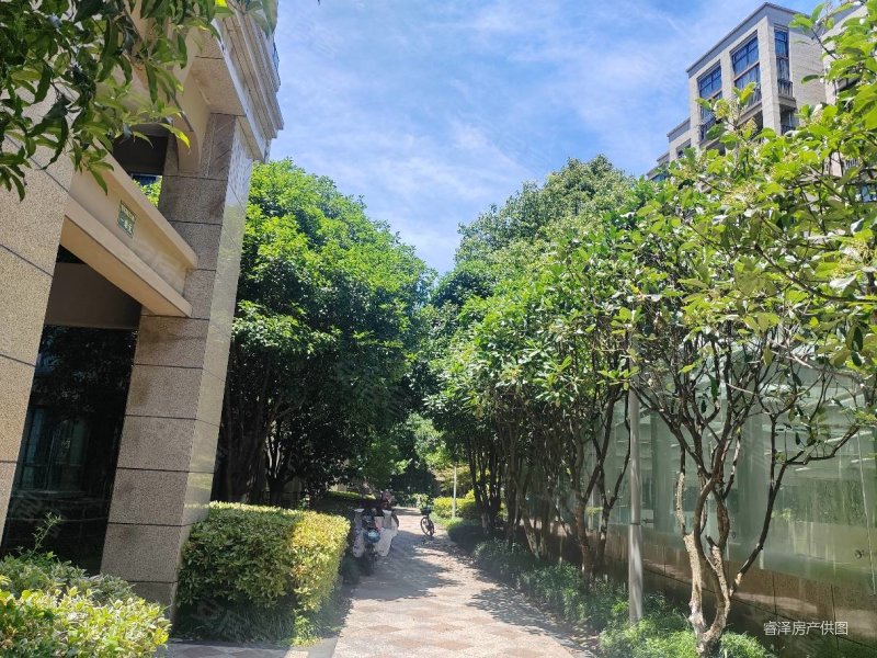 青林湾三期纯洋房小区,顶加阁,精装修,保养好,利用空间多