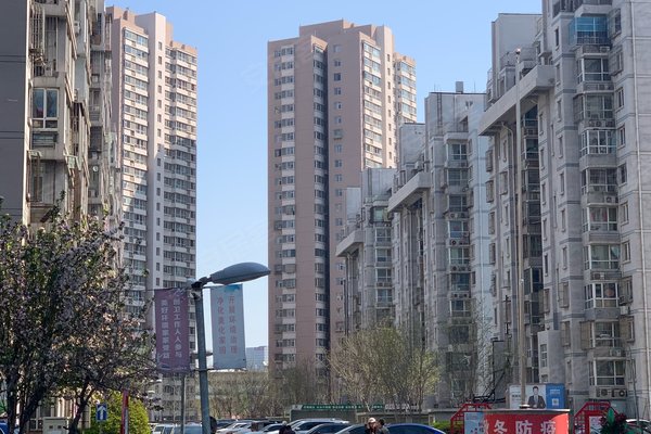 丰盛园优点,不足,丰盛园怎么样,丰盛园周边房产中介经纪人评价-天津