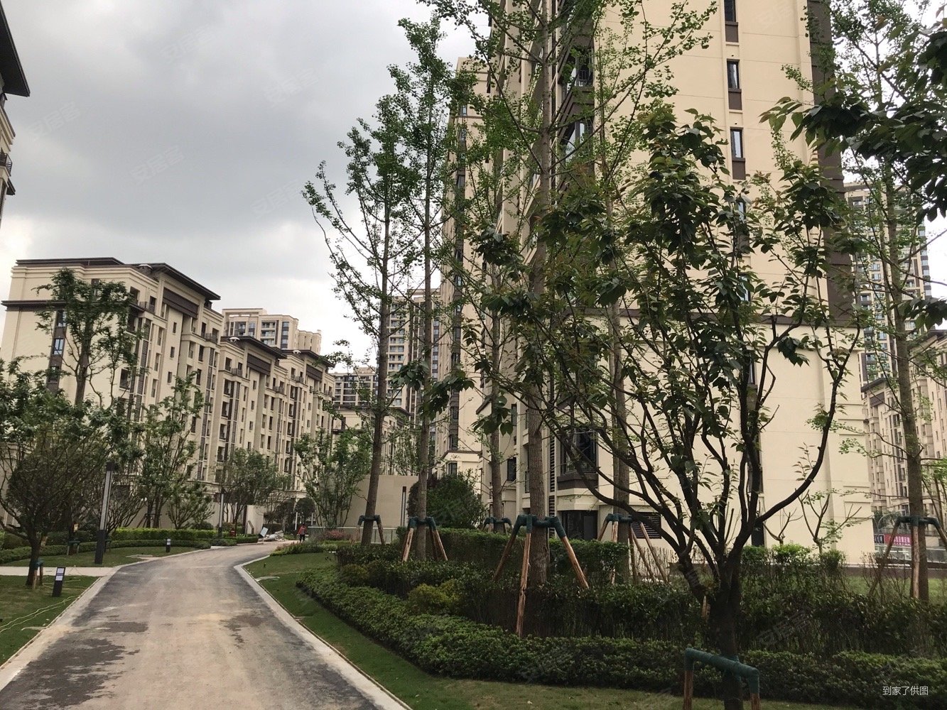 蔡家 金科集美嘉悦 一手 无 大平层洋房