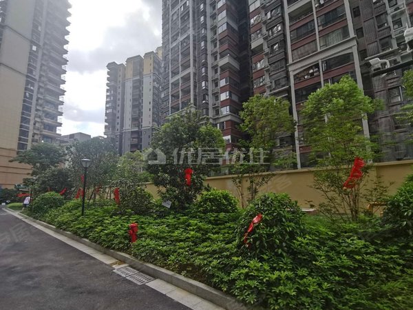 【多图】鑫邦华府,北湖租房,业主急租 北湖天海苑 鑫邦华府 空房大