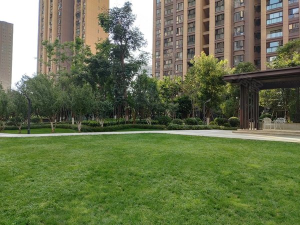 昆明官渡新螺蛳湾俊发澜湾俊园螺蛳湾澜湾俊园精装修3房出租出租房源