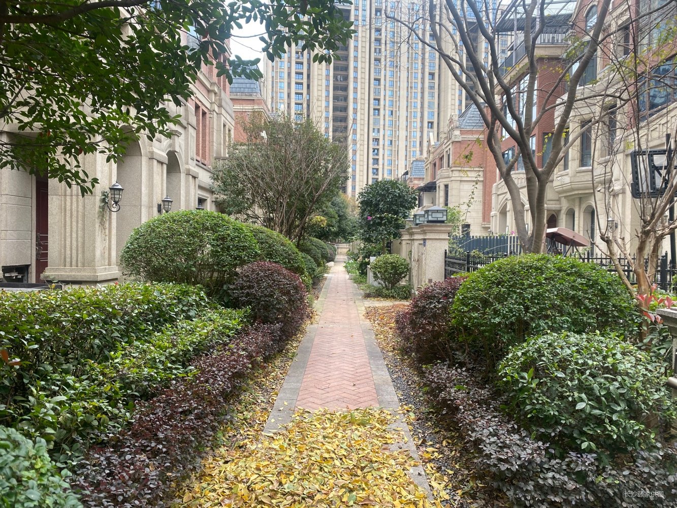 梅溪湖半岛墅湖景别墅 已做好改建 花园100 赠送全明地下室,中海