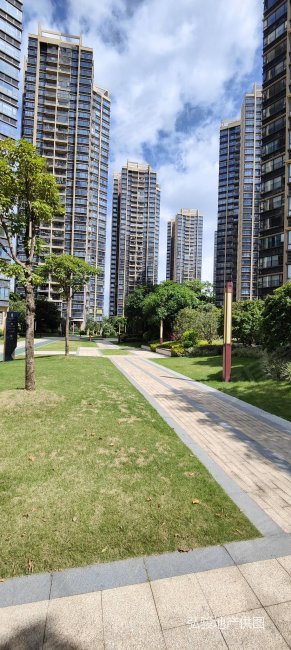 业主承担所有税费不靠路朝南看花园购灏景湾大三房