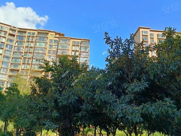 【多图】丽水雅苑,江东花园租房,羊肠村地铁口 精装3房 东南朝向 看房