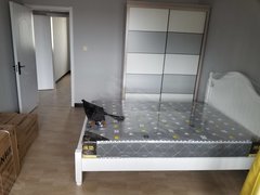 枣庄滕州北辛可短租月付无中介费 润恒花园 临近英才学校 阳台主卧空调淋浴出租房源真实图片