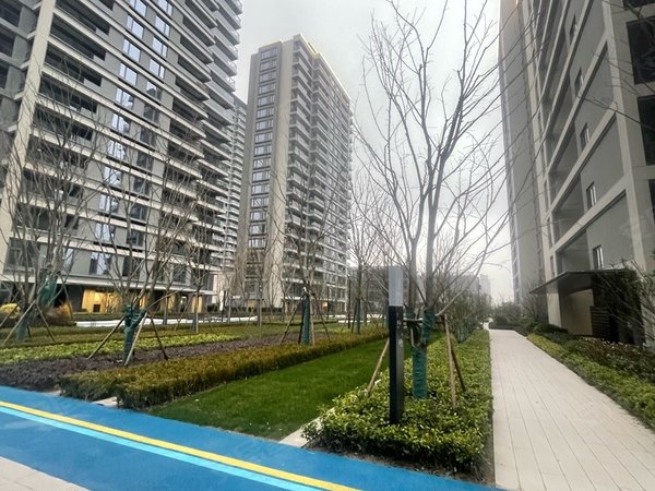 杭州钱塘大江东融智创城融创城洋房 三室两厅两卫3600元包物业出租