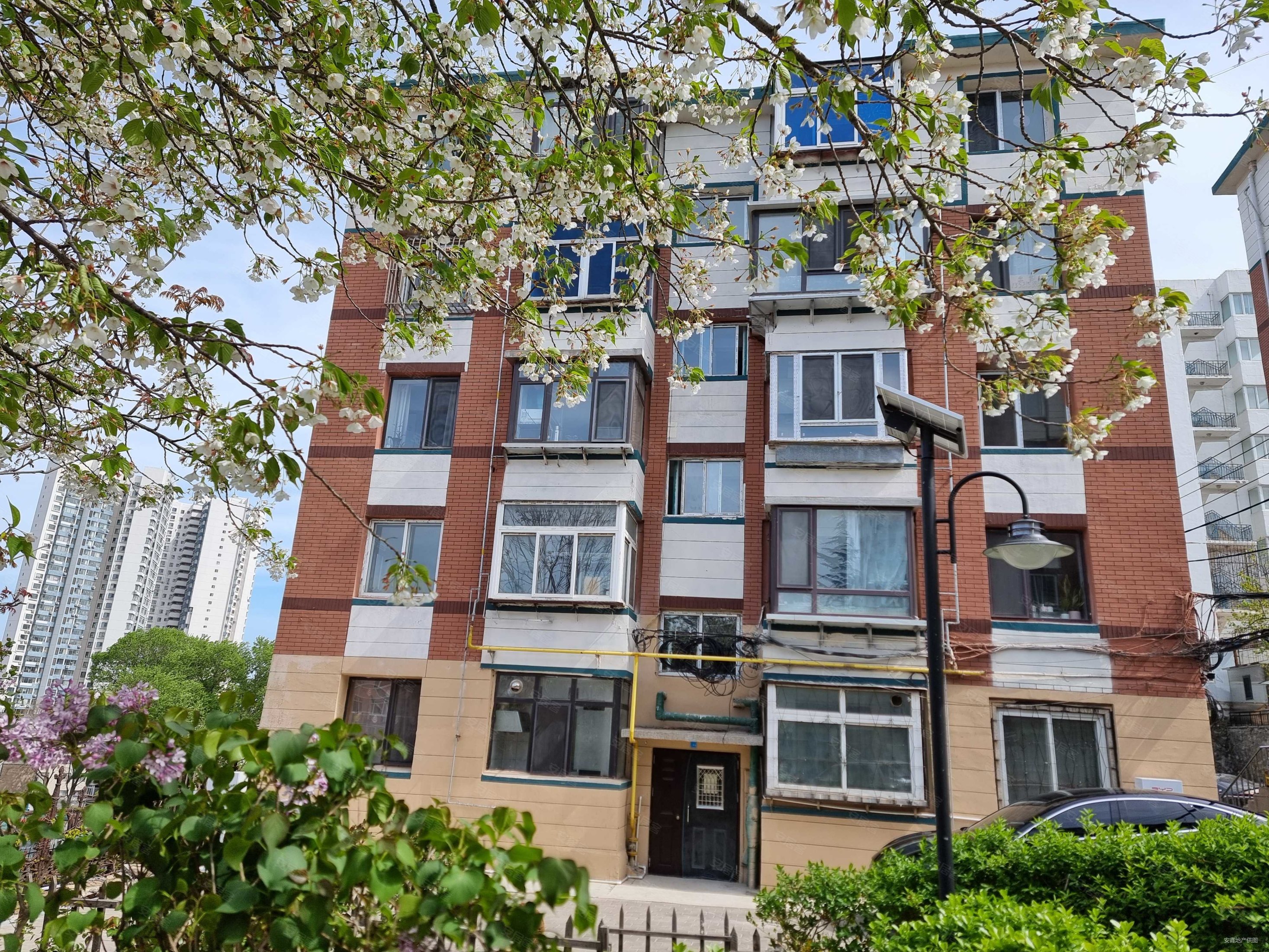 大连房产网>大连二手房>沙河口二手房>星海公园二手房>尖山街217号