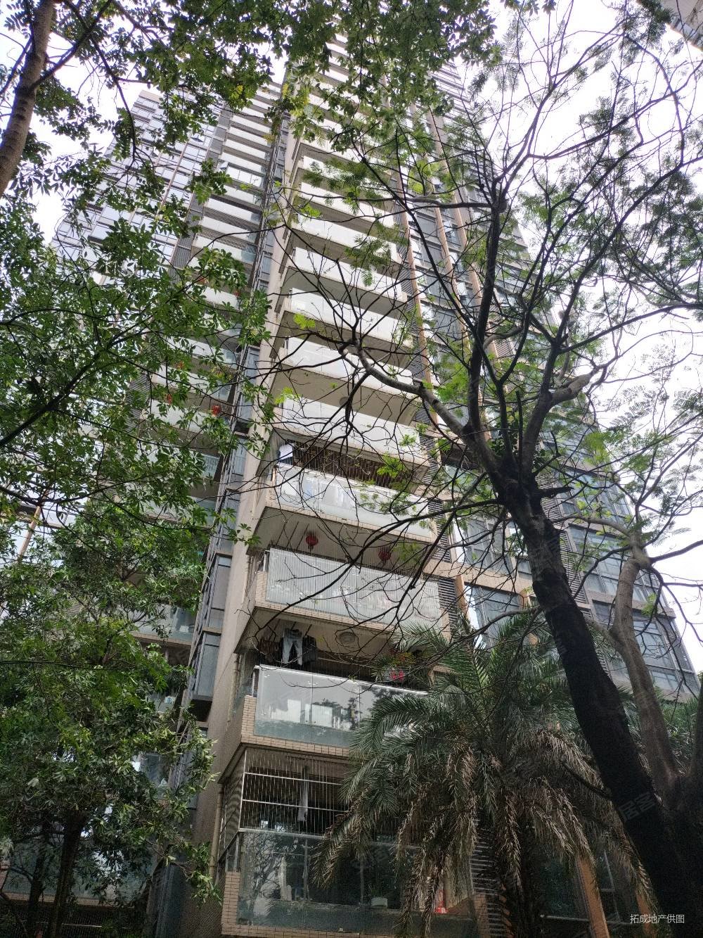 东莞房产网>东莞二手房>塘厦二手房>新开发区二手房>金众金域半山>