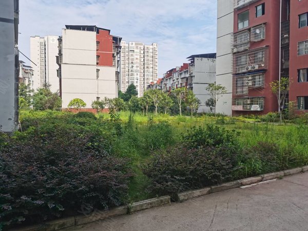 重庆潼南潼南城区名仕豪园凉风垭一室出租 靠近一(中)大广场出租房源