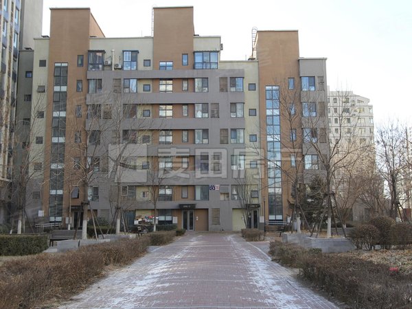 沿海赛洛城(南区) 南北通透 户型正 采光好 交通快,朝阳租房-北京58