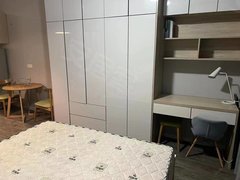 蚌埠蚌山宝龙广场雪华中央国际 精装全配1房 廉价急租 吾悦广场对面近文化广场出租房源真实图片