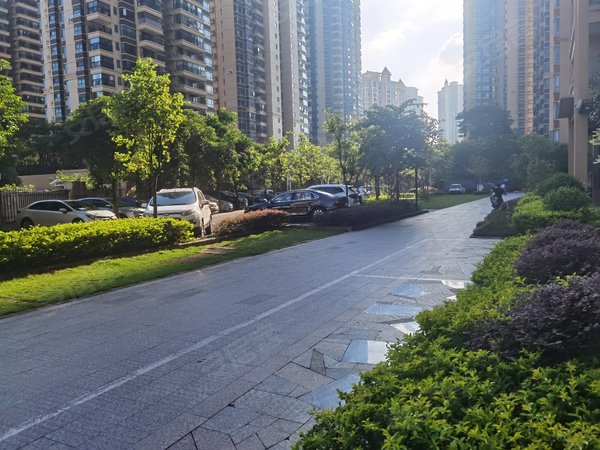 南宁兴宁东沟岭汇豪国际汇豪国际 双地铁口 对面兴宁区第二初级中学