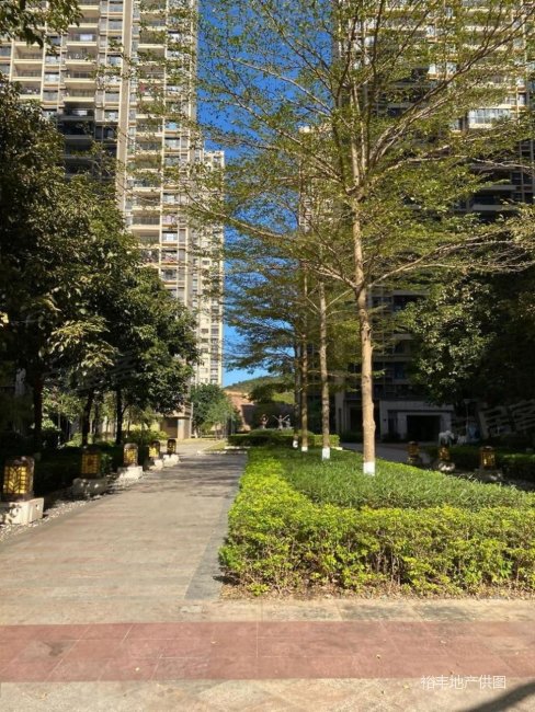 总价再少20w高性价比大三房,珠江国际城二手房,92万,3室2厅,2卫,89