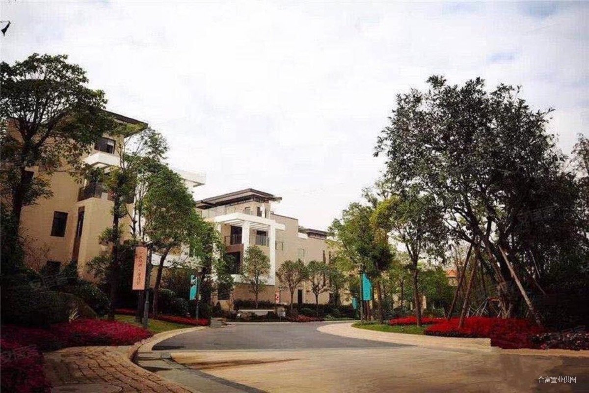 天颐华府番禺湖景别墅带豪华装修带电梯