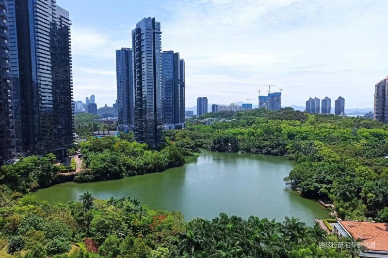 新天鹅堡二期top1观景位,292平41毛坯房自由设计