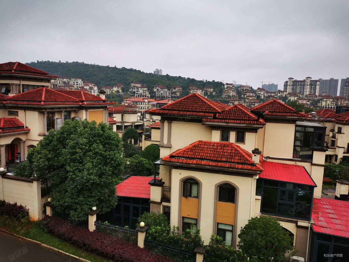 卓越麓山别墅(别墅)6室2厅6卫446.14㎡南北1700万