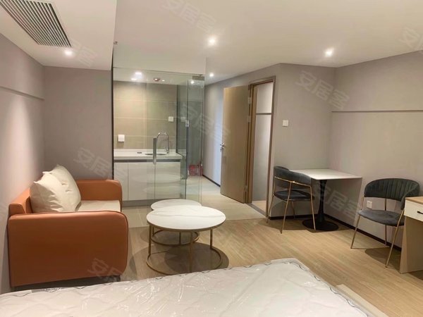 墅级公寓,精工品质,工大西溪湿地旁,铂悦城出租房源真实图片