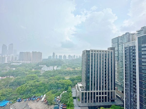 深圳福田农科中心合正置地大厦安托山新贵网红盘 纯欲风 两房新出租