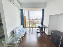 上海浦东塘桥蓝村路46号线 电梯一房 全景落地窗 采光充足 储物空间多出租房源真实图片