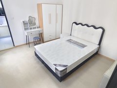 合肥高新柏堰湖独卫 北雁湖 机电产业园 创新产业园 科大讯飞 世贸国风出租房源真实图片
