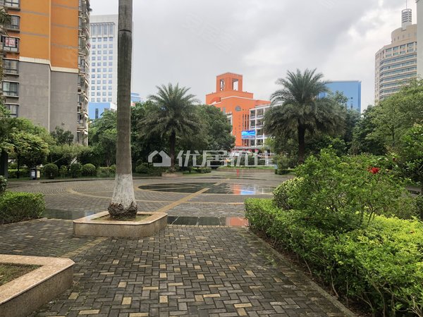 南宁青秀五象广场滨湖家园居家配齐户型方正 南北通透 交通便利出租